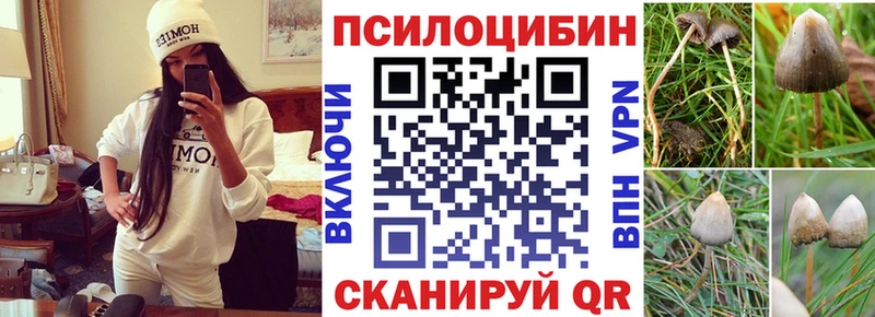 Псилоцибиновые грибы мухоморы  закладки  это формула  Северобайкальск  кракен маркетплейс 