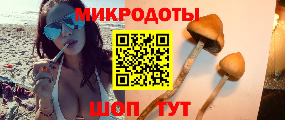 Псилоцибиновые грибы GOLDEN TEACHER Северобайкальск