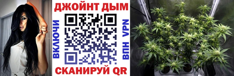 Конопля индика  наркота  Северобайкальск 